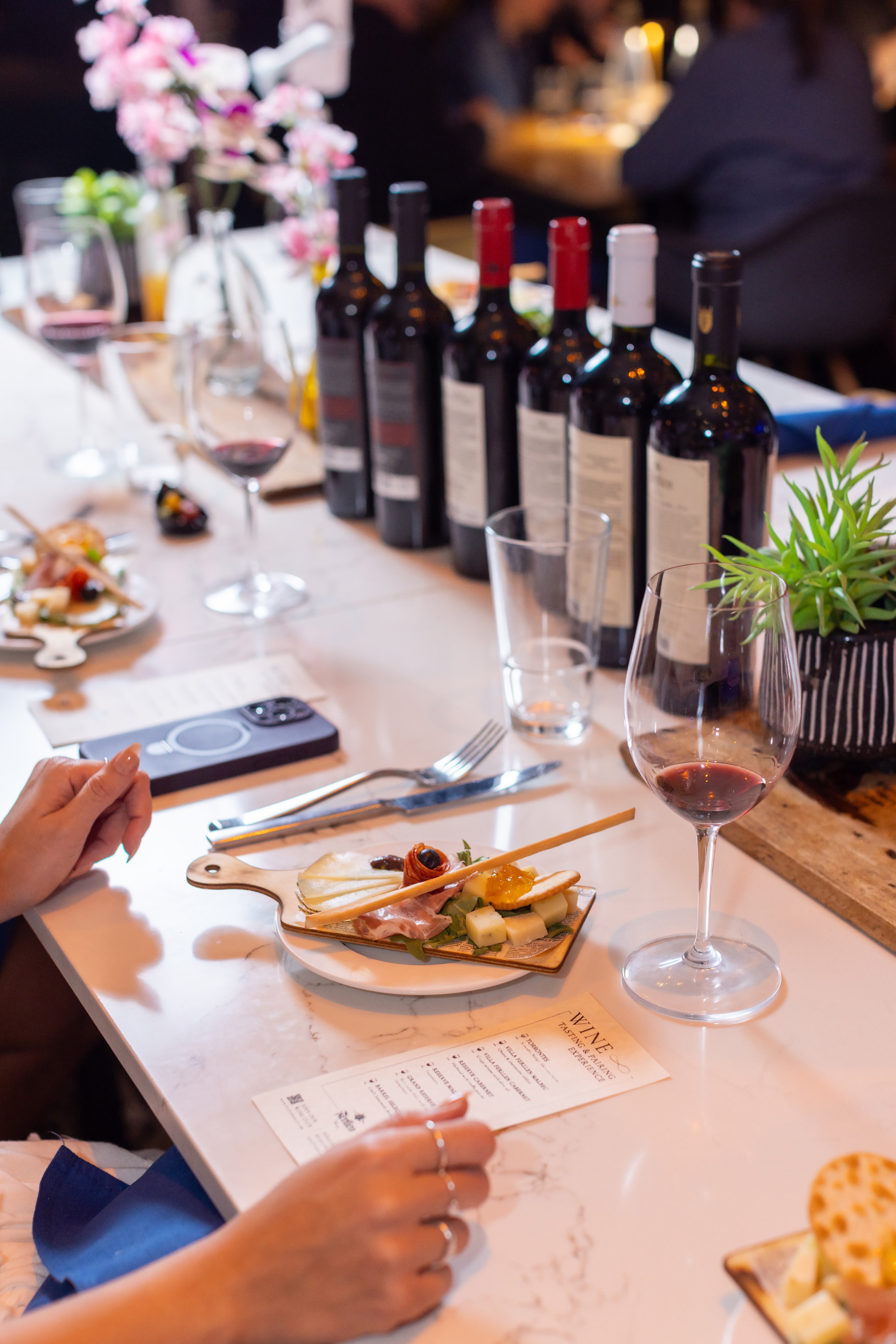 Wine Tasting & Pairings